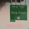 Big Pink - Dog Days - Single